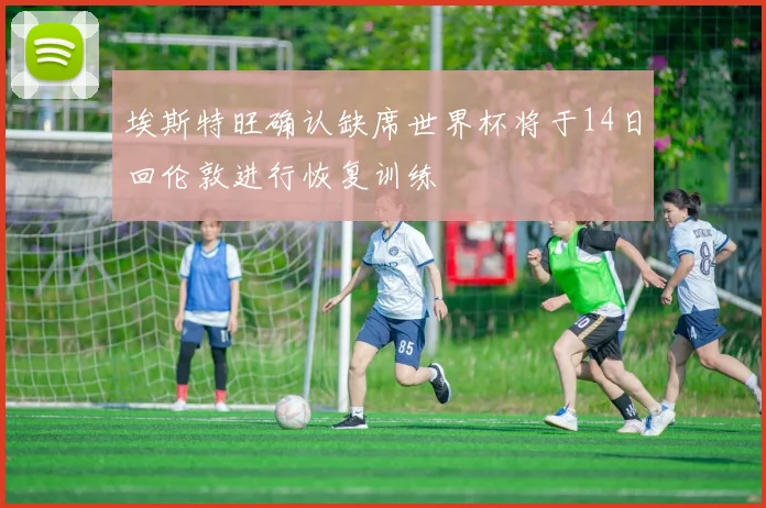 埃斯特旺确认缺席世界杯将于14日回伦敦进行恢复训练
